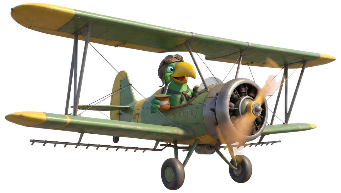Tupico pilotando um avião